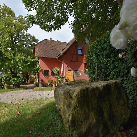 Countryside Apartment With Garden Schallstadt Luaran gambar