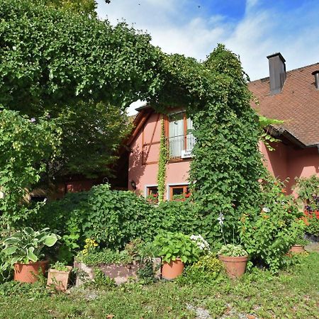 Countryside Apartment With Garden Schallstadt Luaran gambar