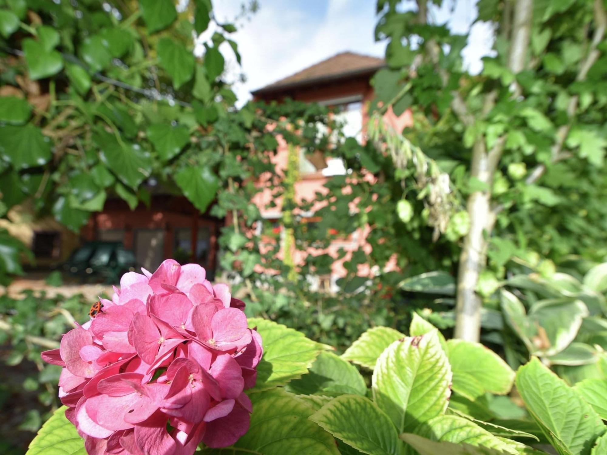 Countryside Apartment With Garden Schallstadt Luaran gambar