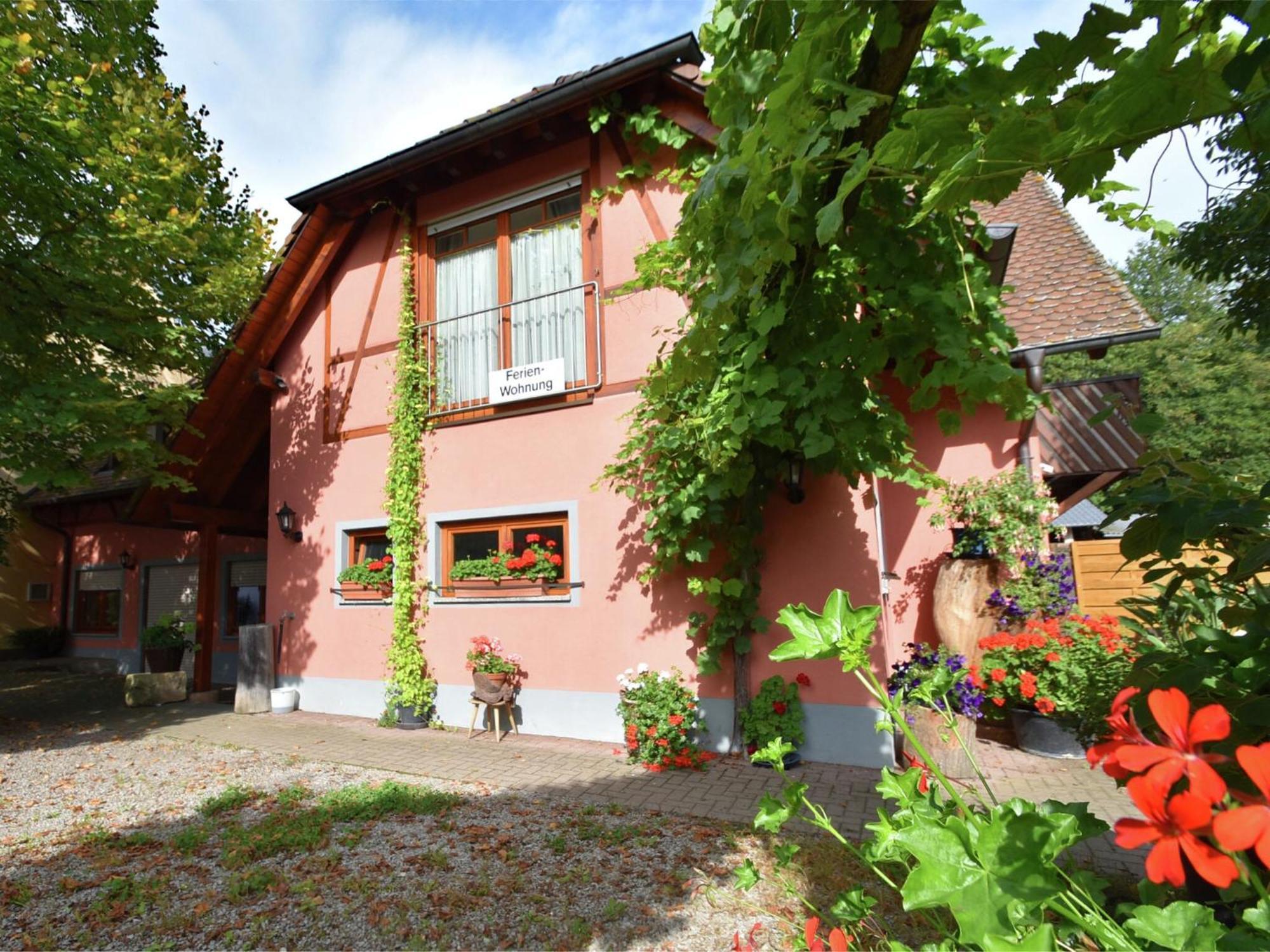 Countryside Apartment With Garden Schallstadt Luaran gambar