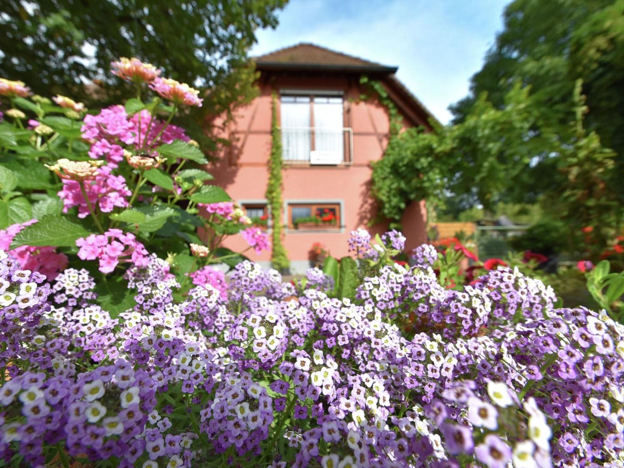 Countryside Apartment With Garden Schallstadt Luaran gambar