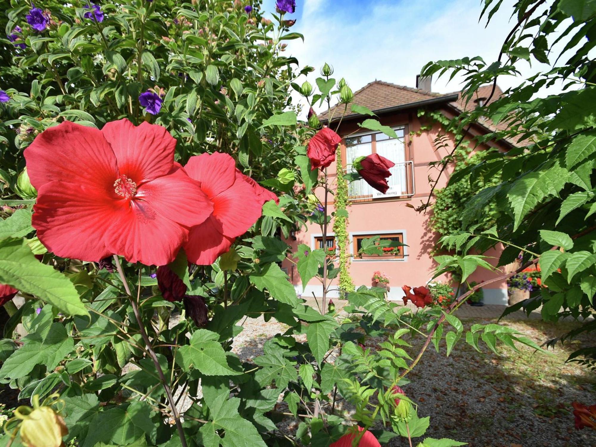 Countryside Apartment With Garden Schallstadt Luaran gambar