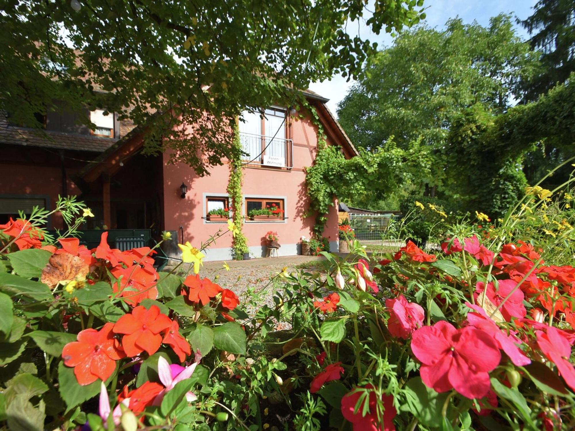 Countryside Apartment With Garden Schallstadt Luaran gambar