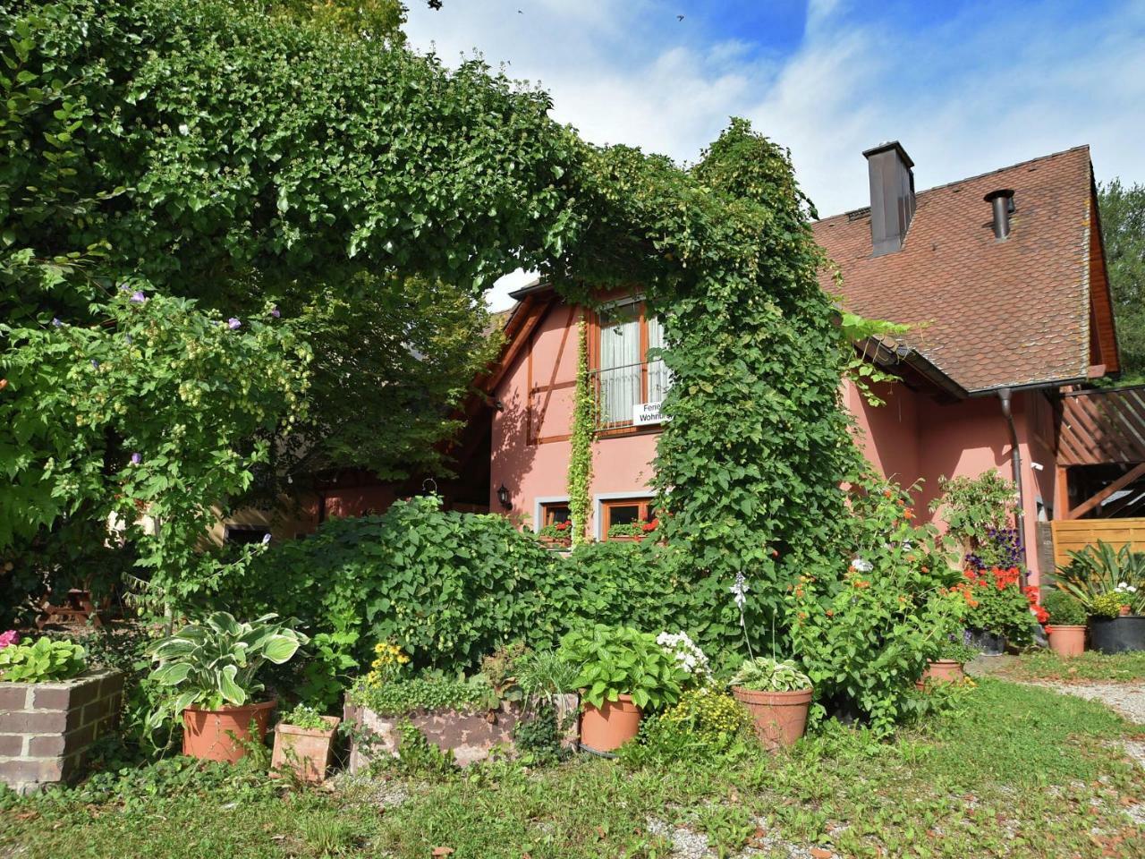 Countryside Apartment With Garden Schallstadt Luaran gambar